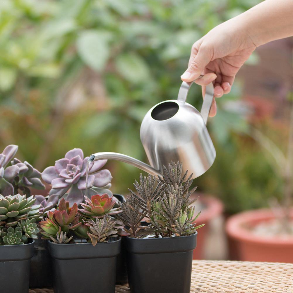 Watering Cans Gooseneck Dome Stainless Steel Watering Can sold by Fleurlovin, Free Shipping Worldwide